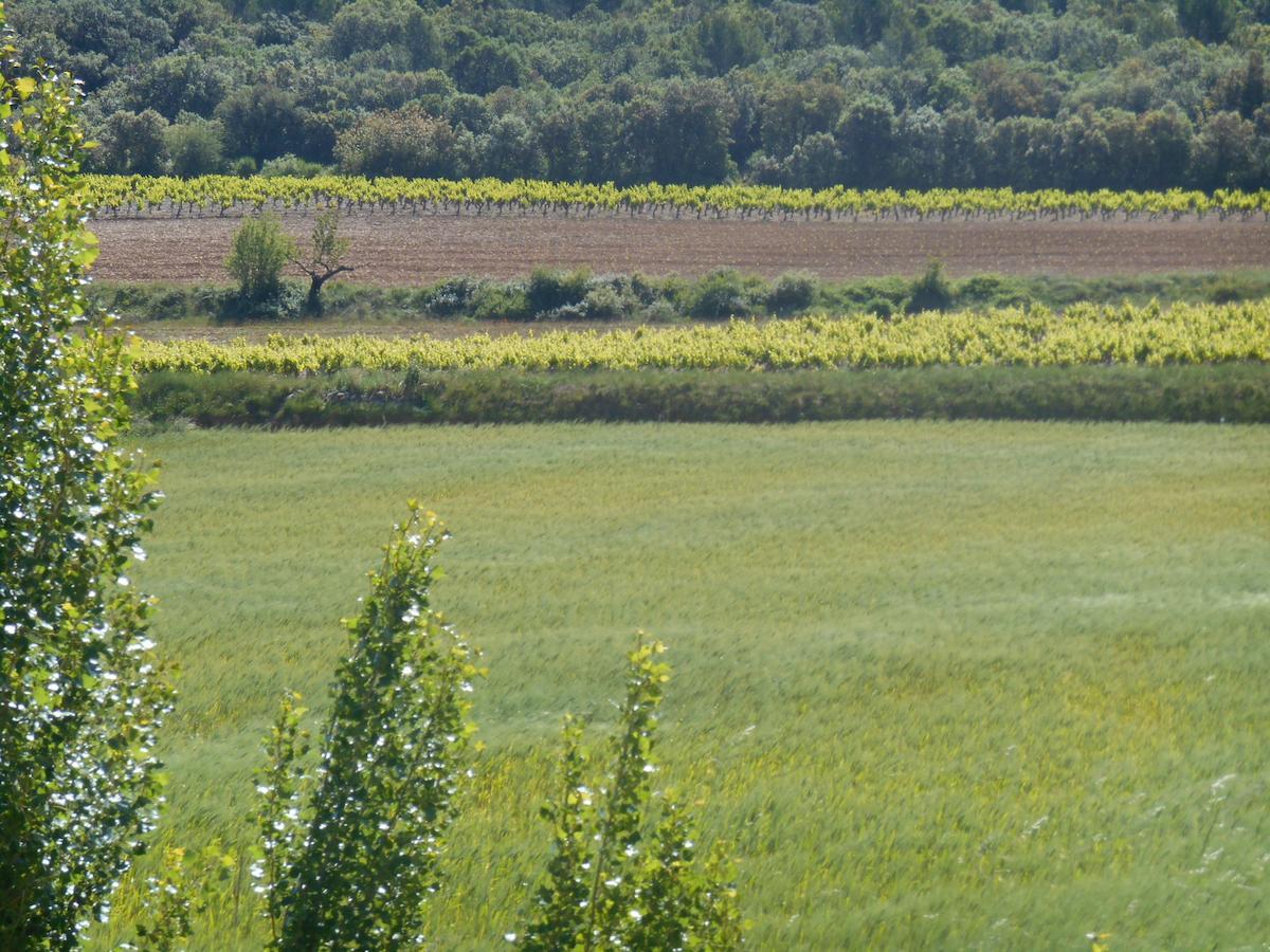 La Feniere Bed & Breakfast Venejan Luaran gambar
